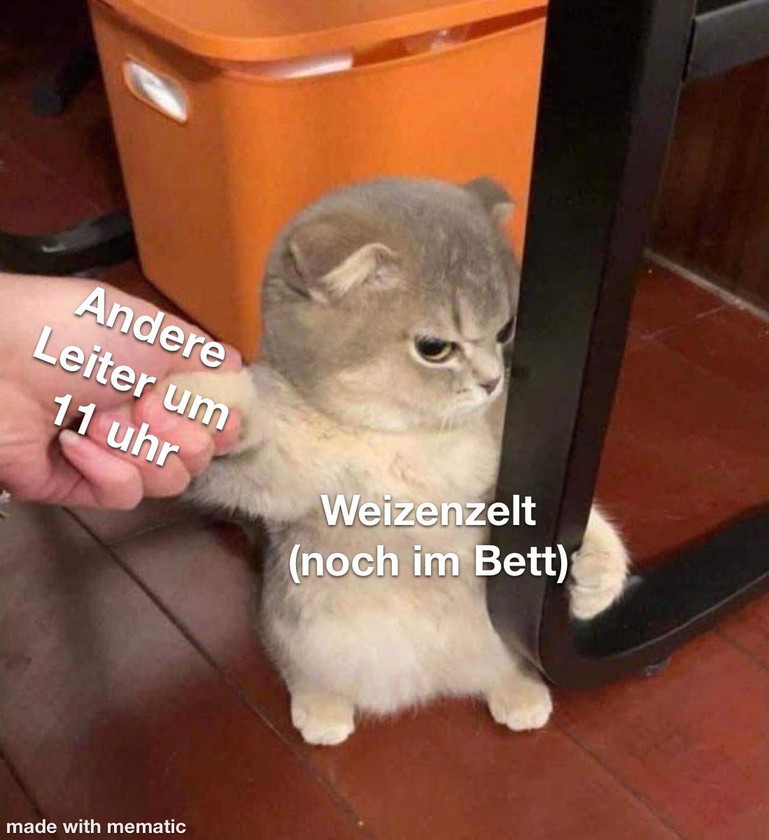 Eine Hand hält die Pfote einer trotzig guckenden Katze, die sich mit der anderen Vorderpfote an einem Stuhl festhält. Hand ist beschriftet mit "Andere Leiter um 11 Uhr", Katze mit "Weizenzelt (noch im Bett)"