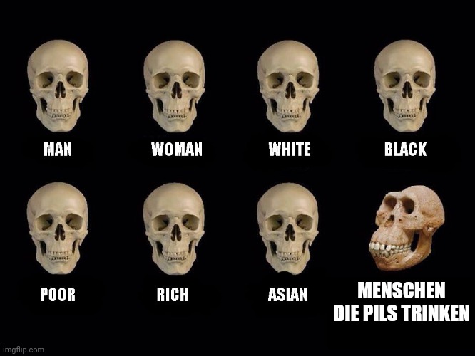 Aufreihung normal aussehnder Schädel, beschriftet einzeln mit "Man", "Woman", "White", "Black", "Poor", "Rich", "Asian" gefolgt von einem sehr alten Schädel einer früheren Form des Menschen (vielleicht Australopithecus) beschriftet mit "Menschen die Pils trinken"
