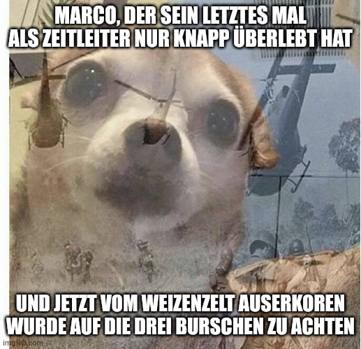Marco, der sein letztes Mal als Zeltleiter nur knapp überlebt hat und jetzt vom Weizenzelt auserkoren wurde auf die drei Burschen zu achten: Hund mit PTBS hat Vietnam Flashback.